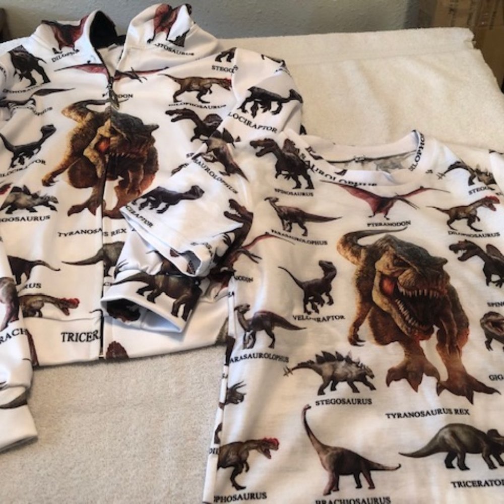 Boys Dinosaur T-shirt/Sweatshirt Combo Size Small